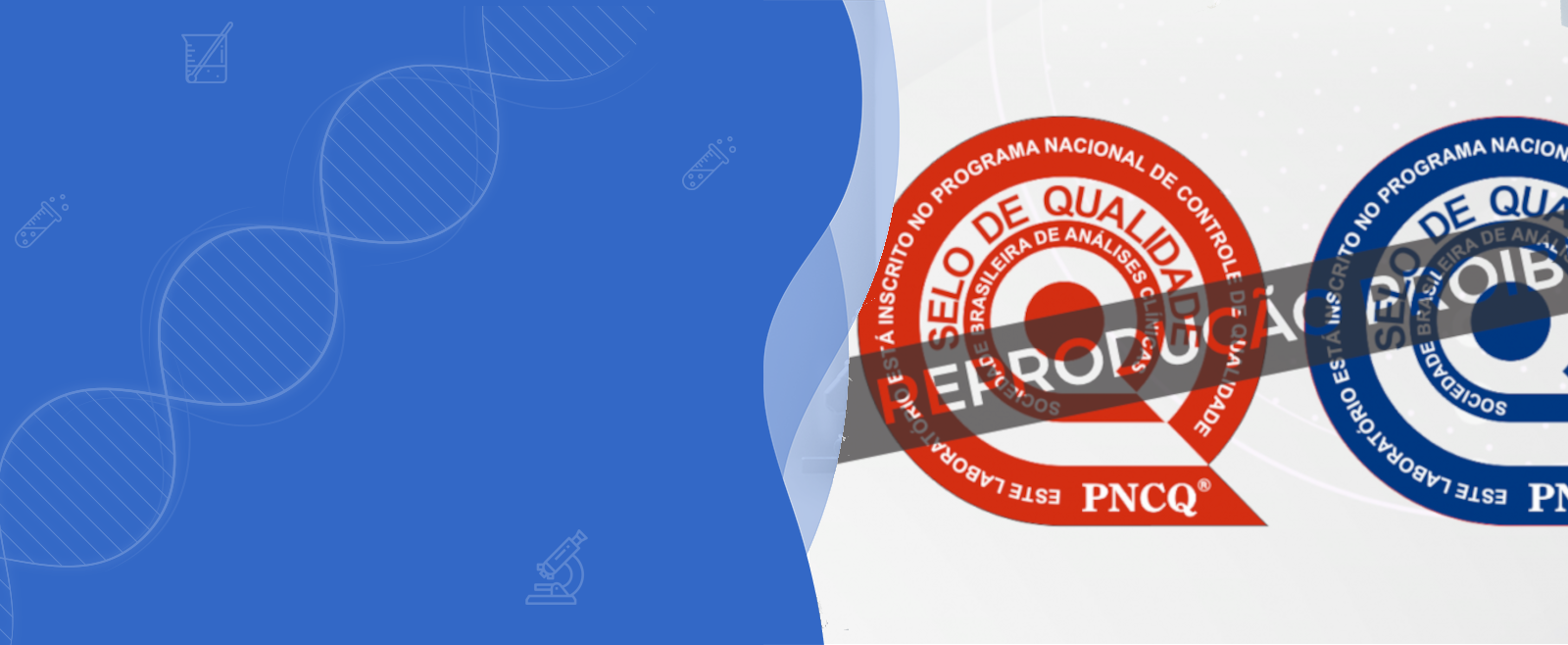 Alt Tag for Slider Image3